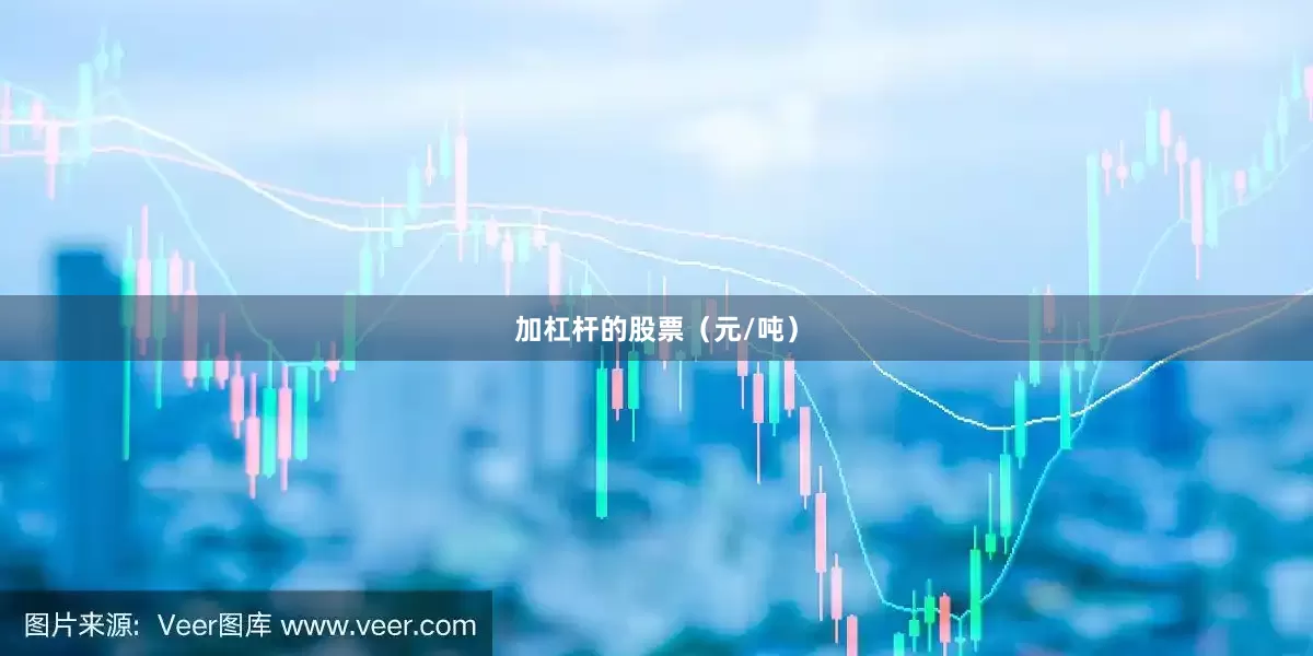 加杠杆的股票（元/吨）