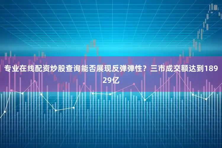 专业在线配资炒股查询能否展现反弹弹性？三市成交额达到18929亿