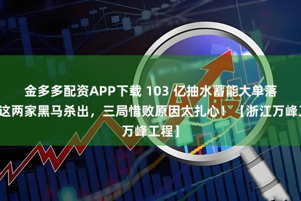 金多多配资APP下载 103 亿抽水蓄能大单落地，这两家黑马杀出，三局惜败原因太扎心！【浙江万峰工程】